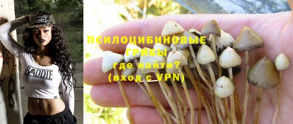 мет Зеленодольск