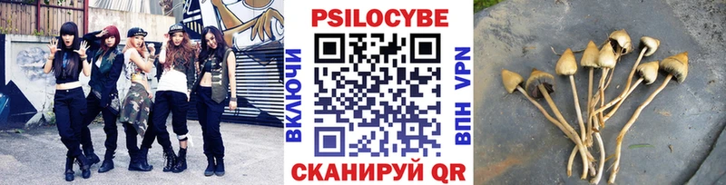 Галлюциногенные грибы MAGIC MUSHROOMS  Купить закладки  Наро-Фоминск 